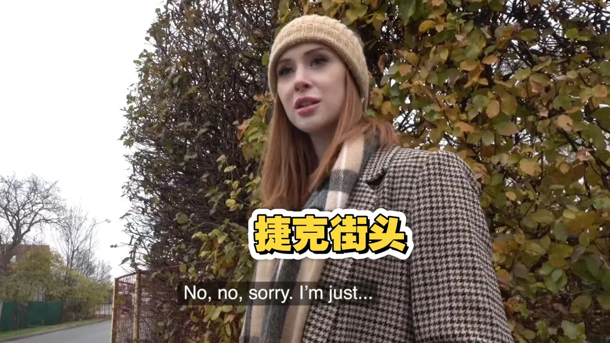 《捷克街头钞能力搭讪系列》高清全集在线观看-2025完整版无广告免费看-捷克街头钞能力搭讪系列电影资源下载