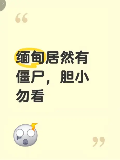 《缅甸僵尸出土事件》高清无删减在线播放 揭秘缅北僵尸出土事件现场全程录像 最新完整版免费观看