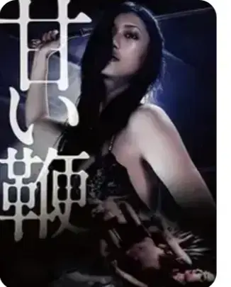 《甜蜜皮鞭》未删减全集高清播放-甜蜜皮鞭1080P蓝光画质在线看-免费观看完整版中文字幕